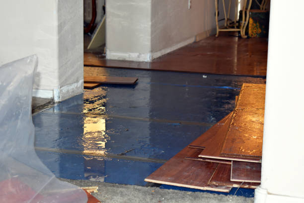 Professional Sewage Cleanup technician working in Boling, TX